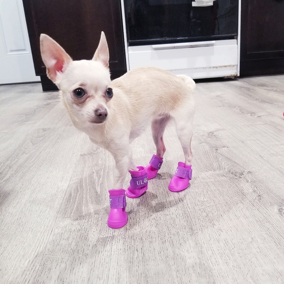 ๐ค๐ฎ๐ธ๐ฆโ ๐ค๐ฎ๐ธ๐ฆโ ๐ค - Picture 11 of 16